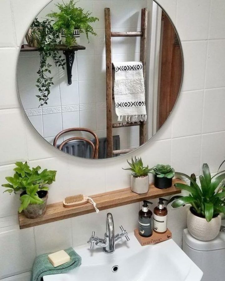 plantas de decoración de baño